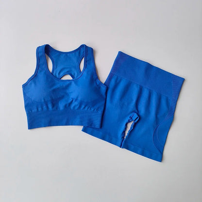 Ensemble de Yoga sans couture pour femmes, 2 pièces, soutien-gorge de Sport